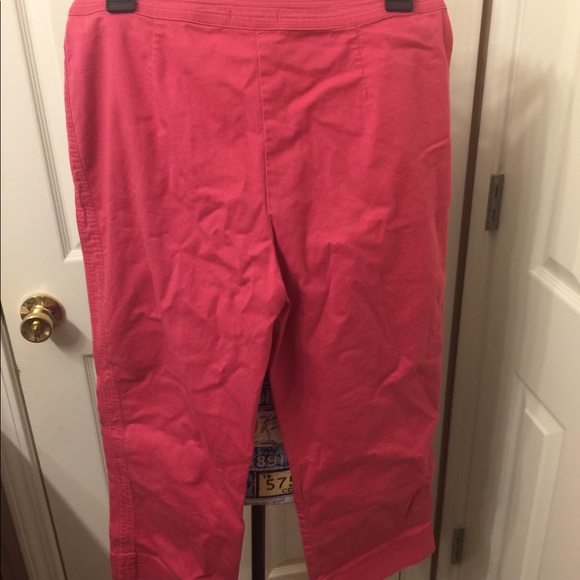 Capris - Picture 3 of 4